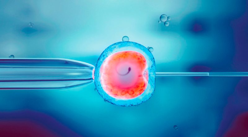 Crean embriones humanos sintéticos con células madre sin óvulos ni esperma