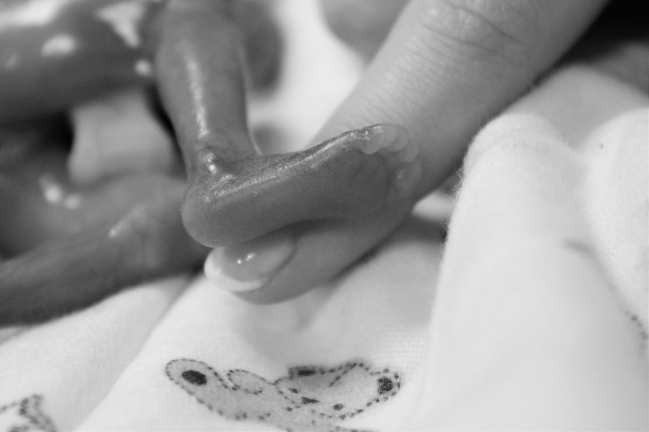 ¿Plan de estudios sobre aborto en escuelas de Irlanda del Norte?