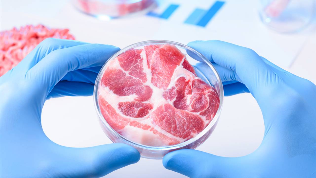 Biotech Foods